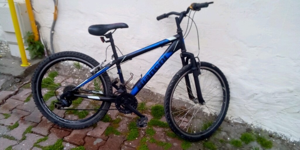 24jant bianci bidesli - 4