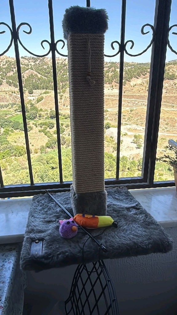 KEDİ SETİ - 3