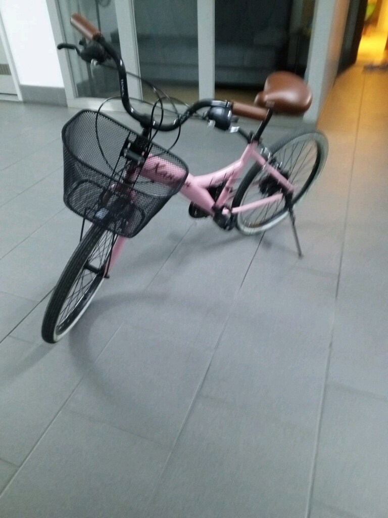 tertemiz pembe bisiklet - 2