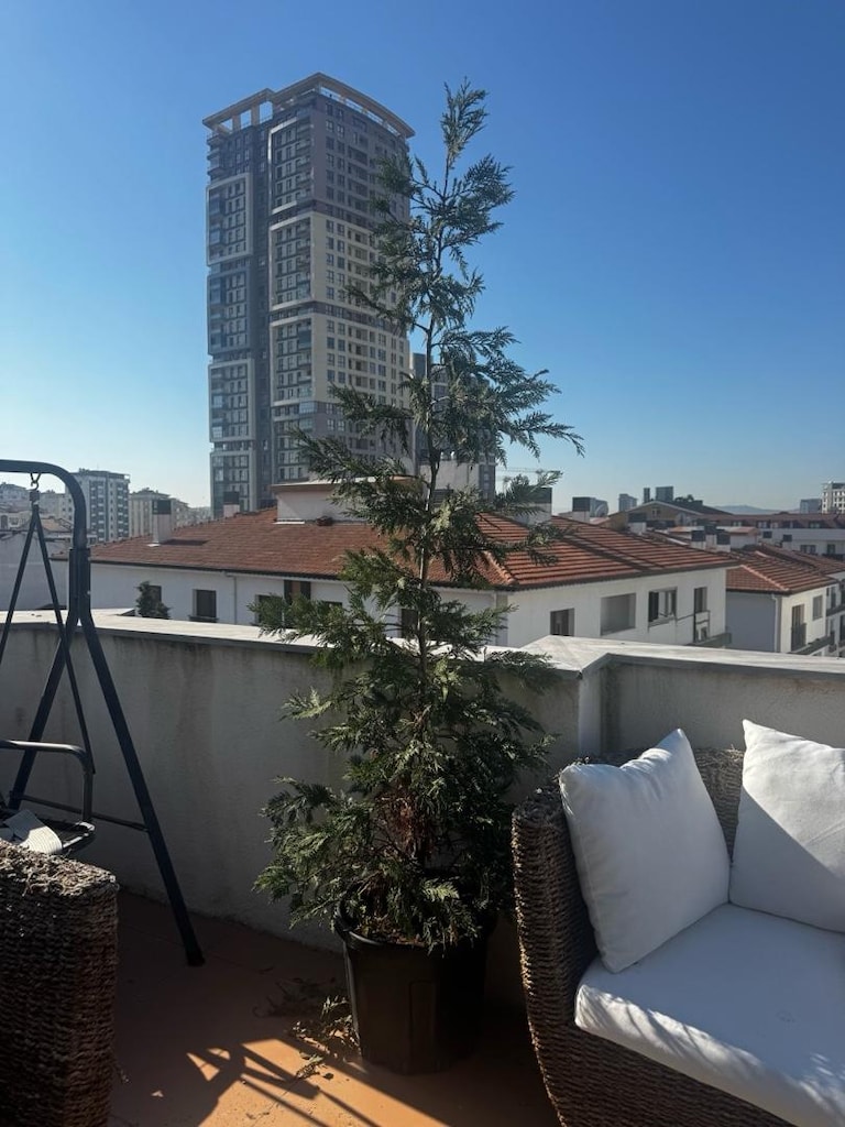 leylandi / çam ağacı - 4