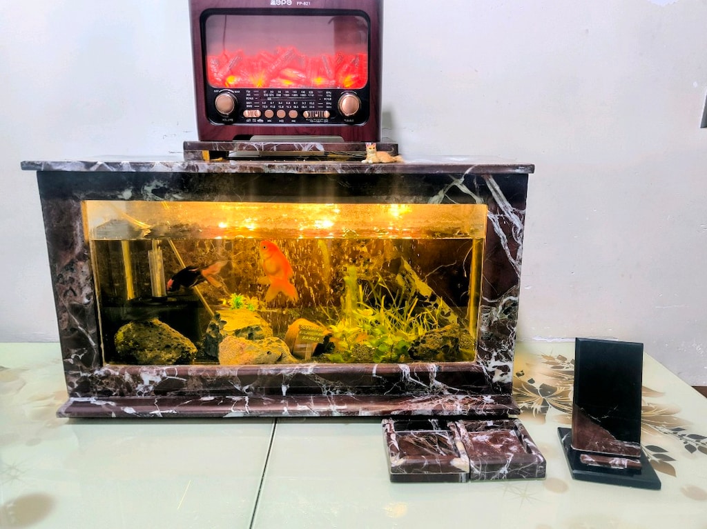 Mermer akvaryum - 8