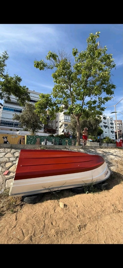 SATILIK TEKNE - 3