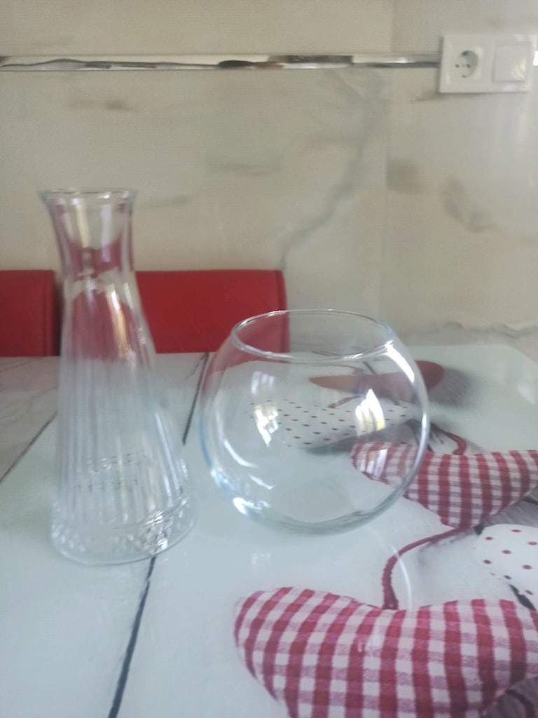 balık fanusu, vazo - 2