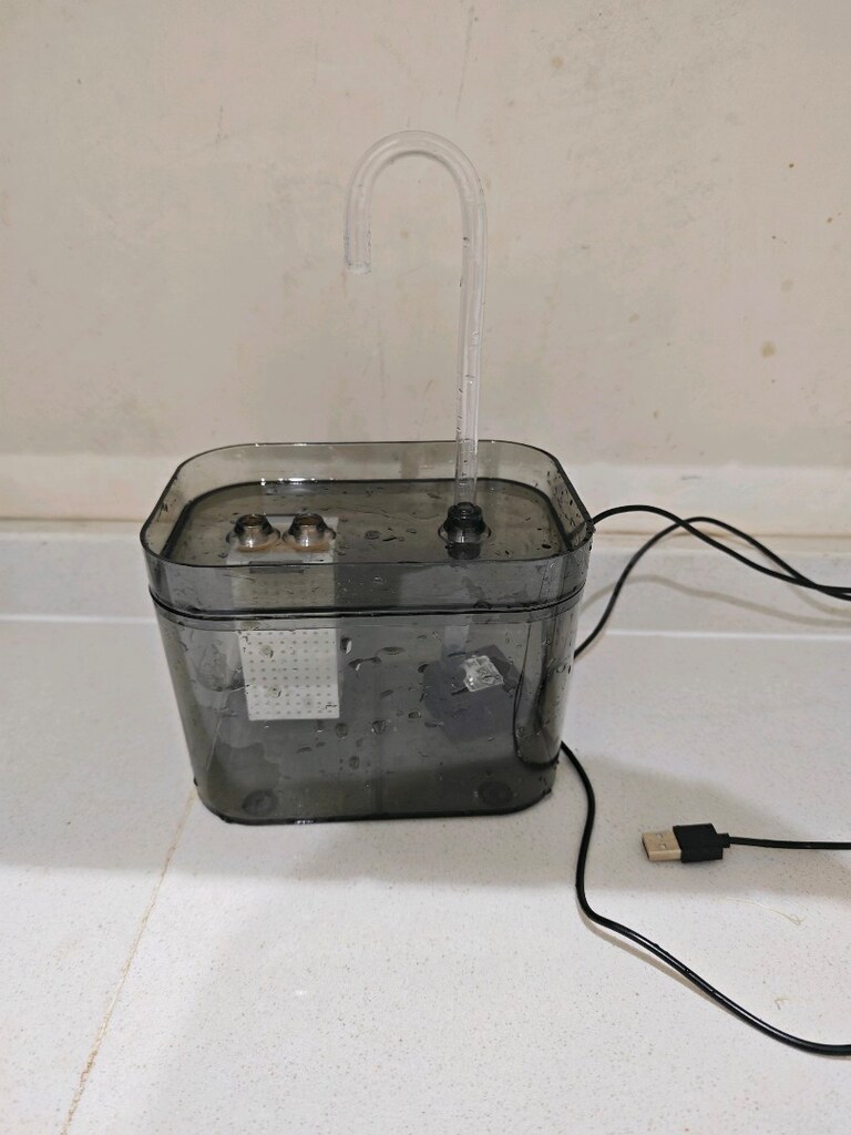 kedi için su sebili - 2