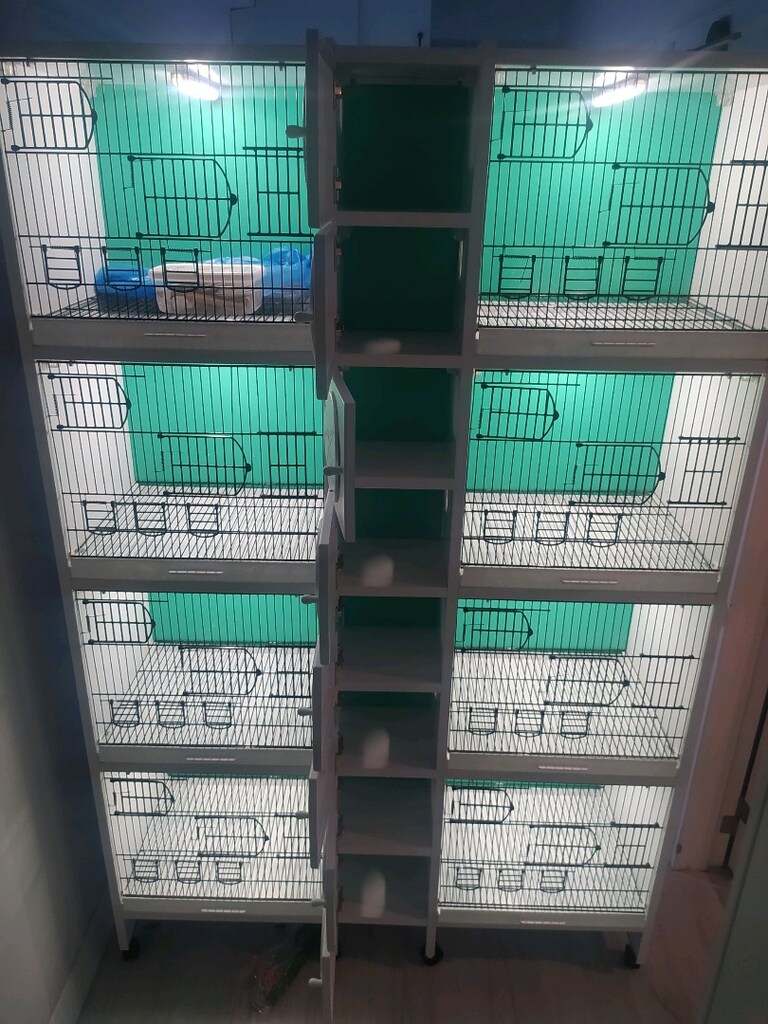 4 Katlı 8 Çift Kapasiteli PVC Kuş Kafesi – Kendinden Yuvalıklı - 6