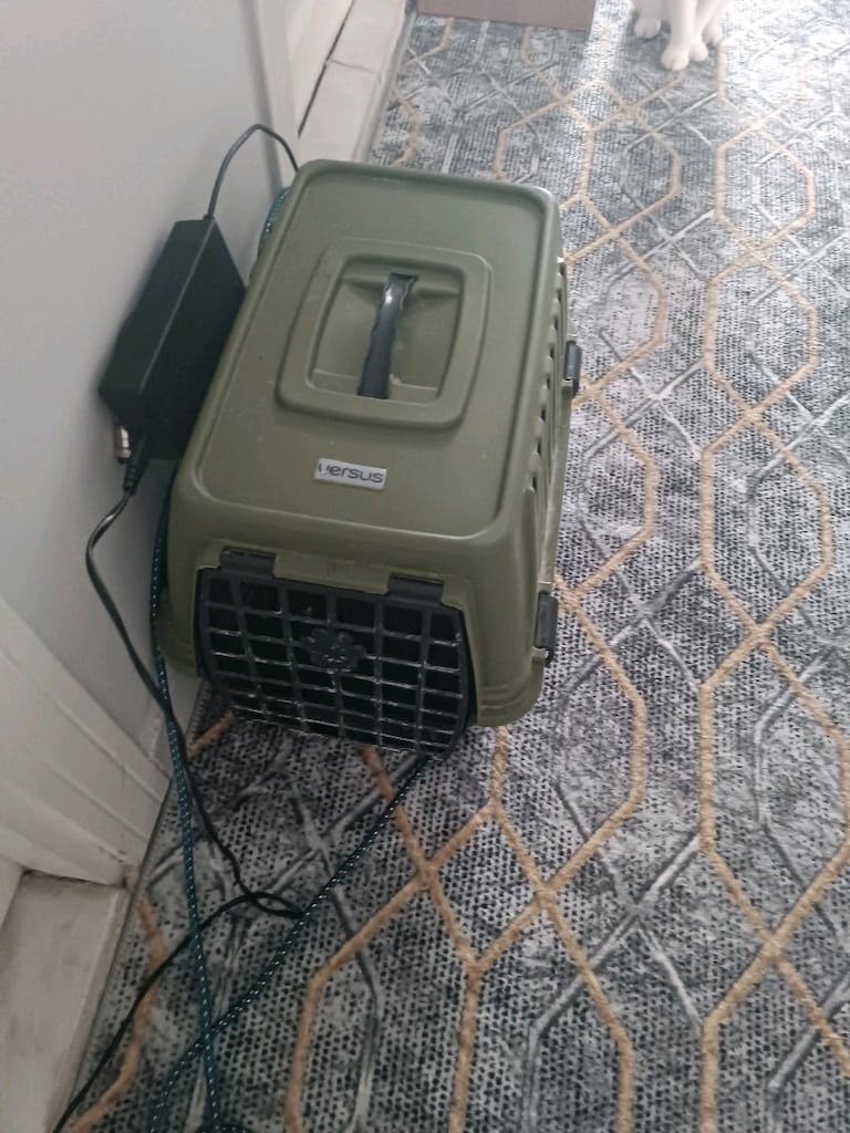 kedi taşıma ve wc tirmanma