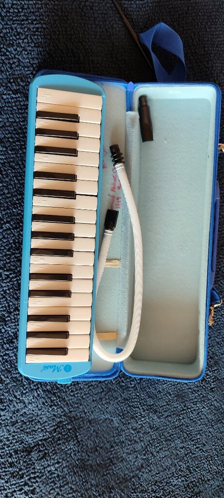 melodika ve flüt - 5