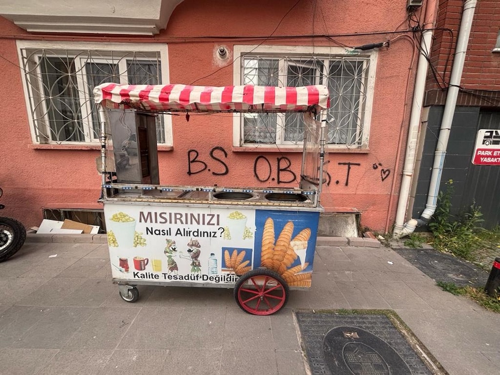 Mısır arabası