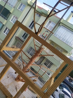 ahşap kuş kafesi - 6