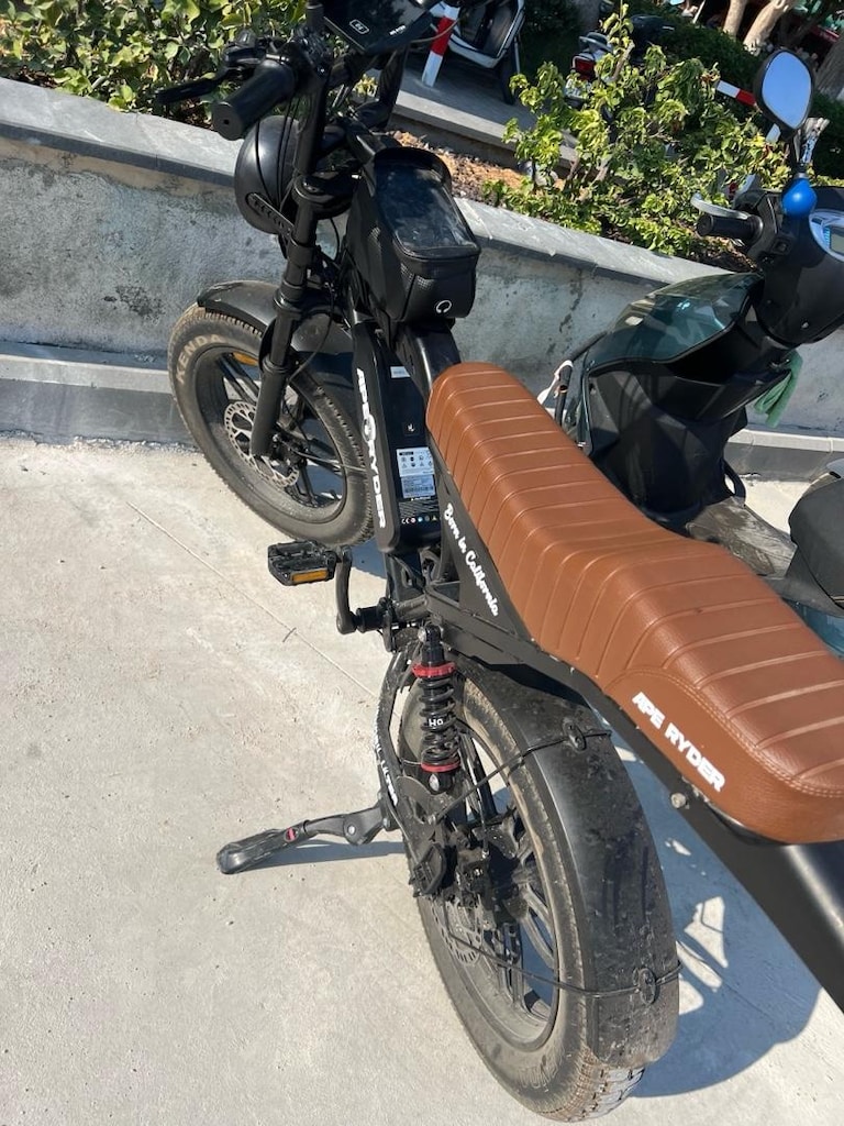 Ape Ryder Mandrill E Bilke 1000W - 3