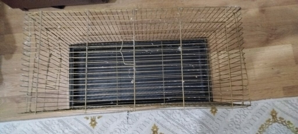 kuş kafesi - 3