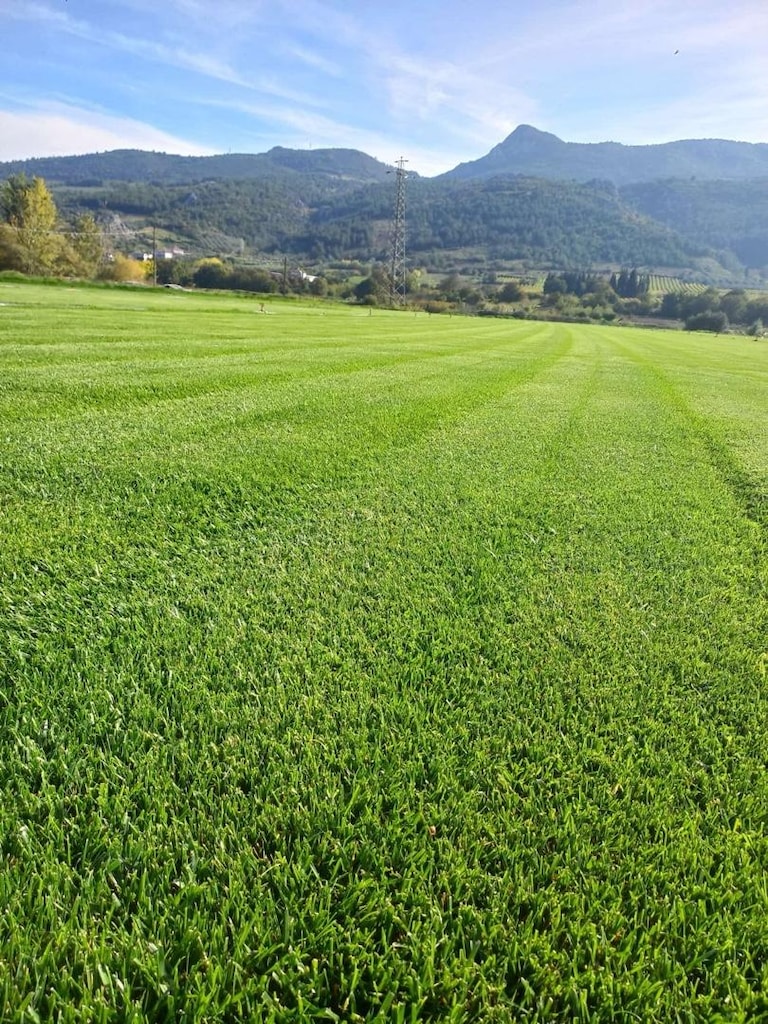SAKARYA DA ÇİM TEMİNİ - 4