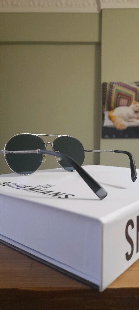Web Eyewear Sun Glass - 4