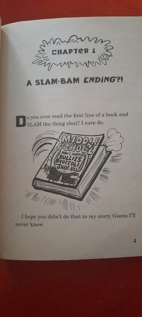 MİDDLE SCHOOL, JAMES PATTERSON - 3