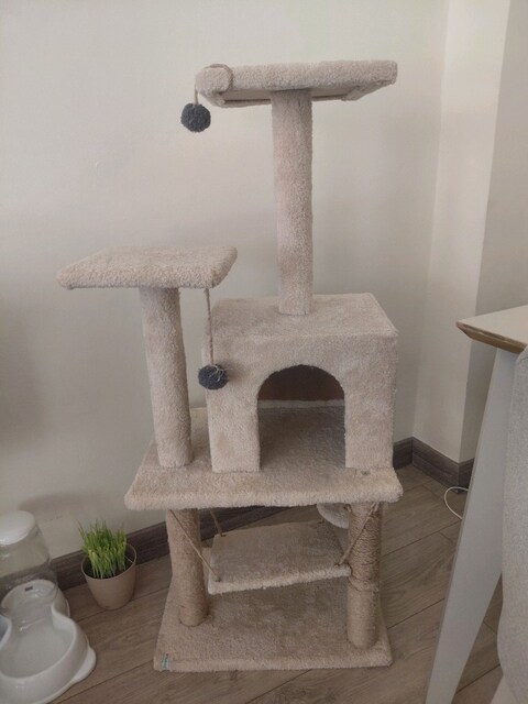 KEDİ EVİ