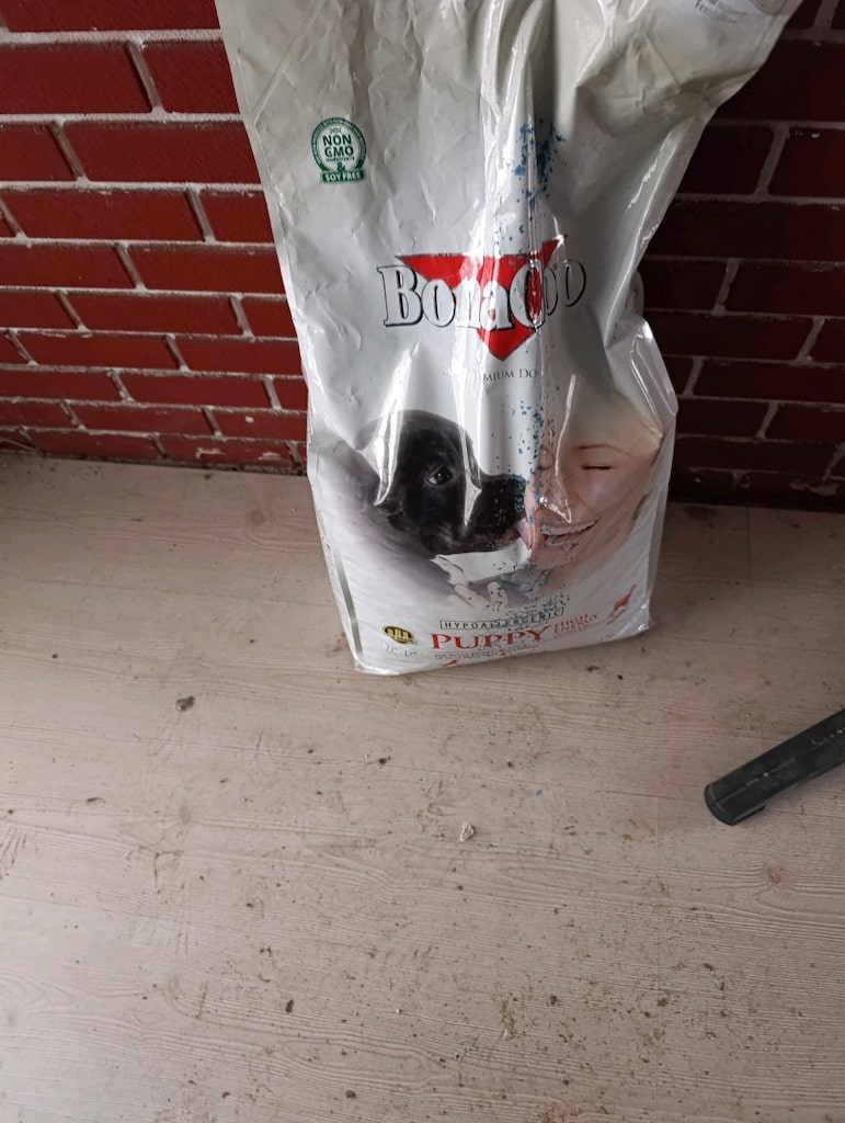 Bona cıbo yüksek enerjili tavuklu yavru köpek maması - 3