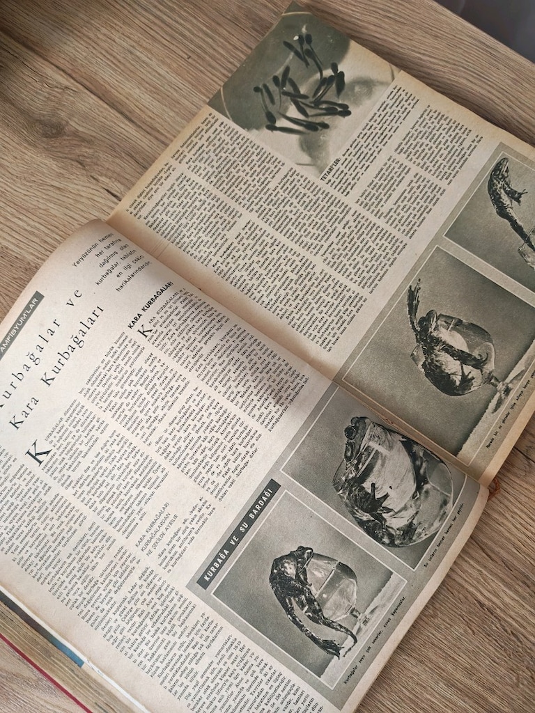 1966 Nisan Baskısı Hayat Hayvanlar Ansiklopedisi – Tek Cilt, Eski Bası - 3