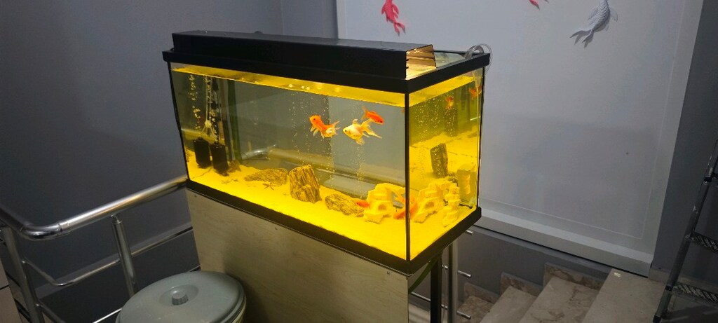Hazır akvarium - 2