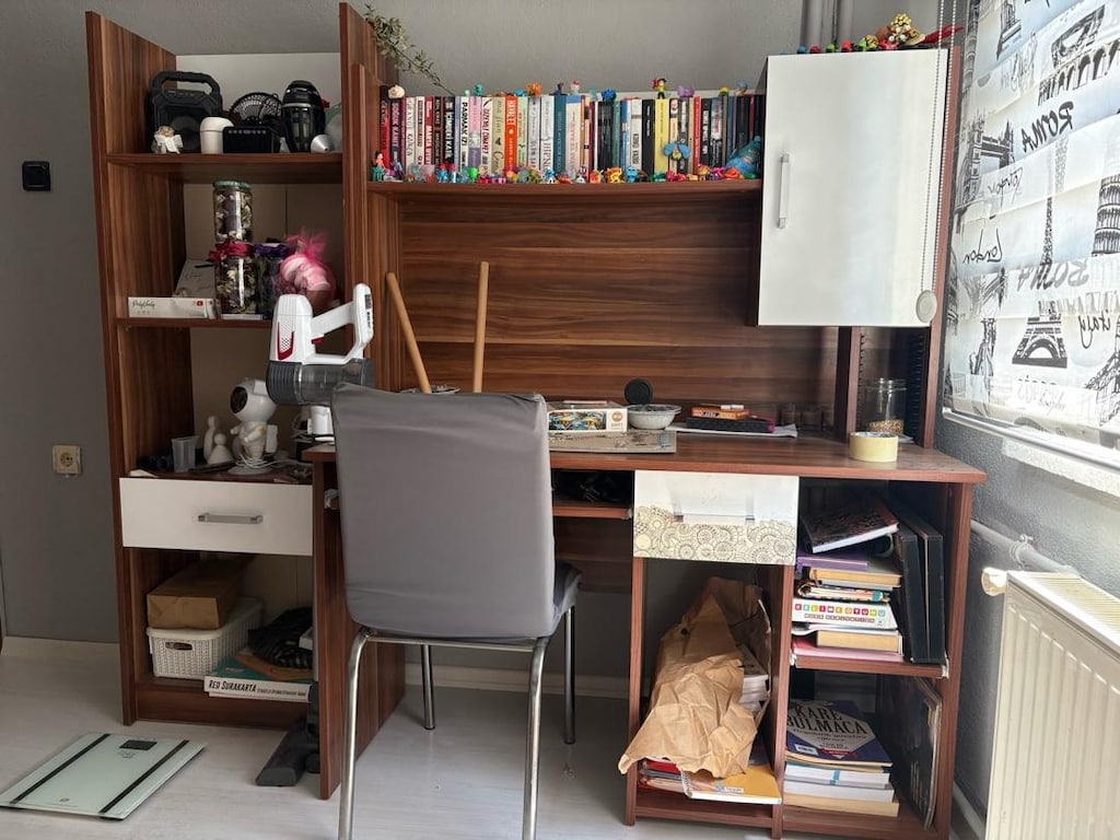 Çalışma Masası ve Kitaplık