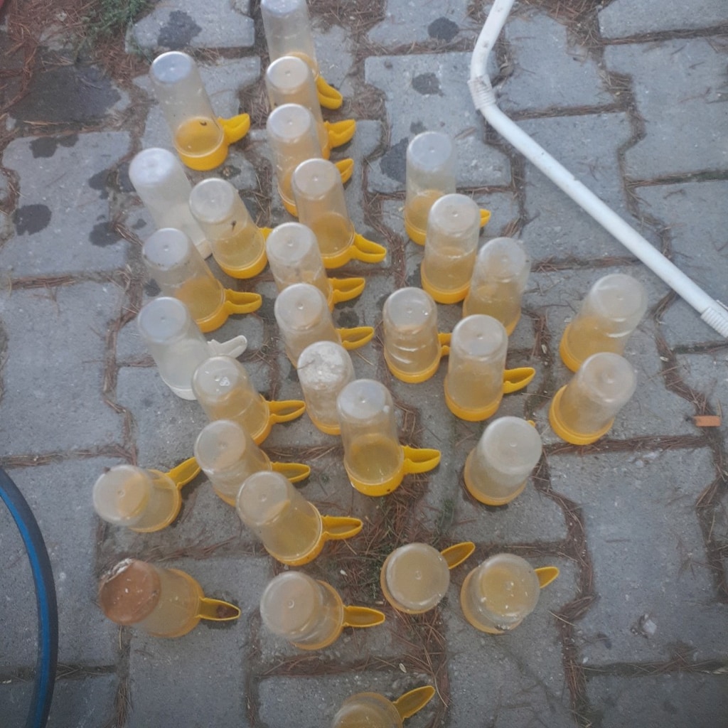 muhabbet ve kafes kuşları ekipmanları - 2
