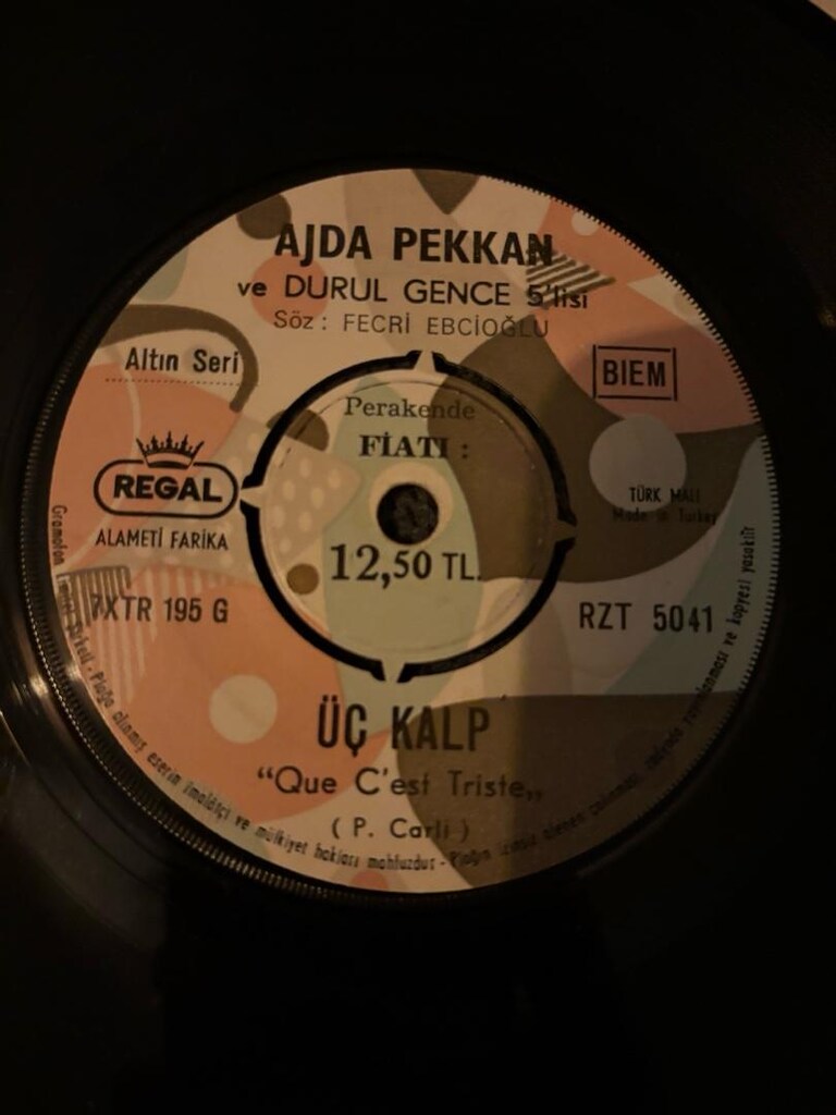 ajda pekkan 33lükleri - 10