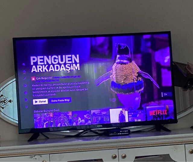 Vestel televizyon