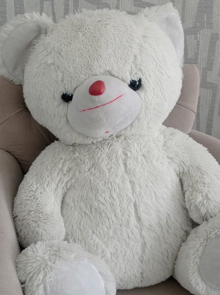 Peluş Ayıcık - 4