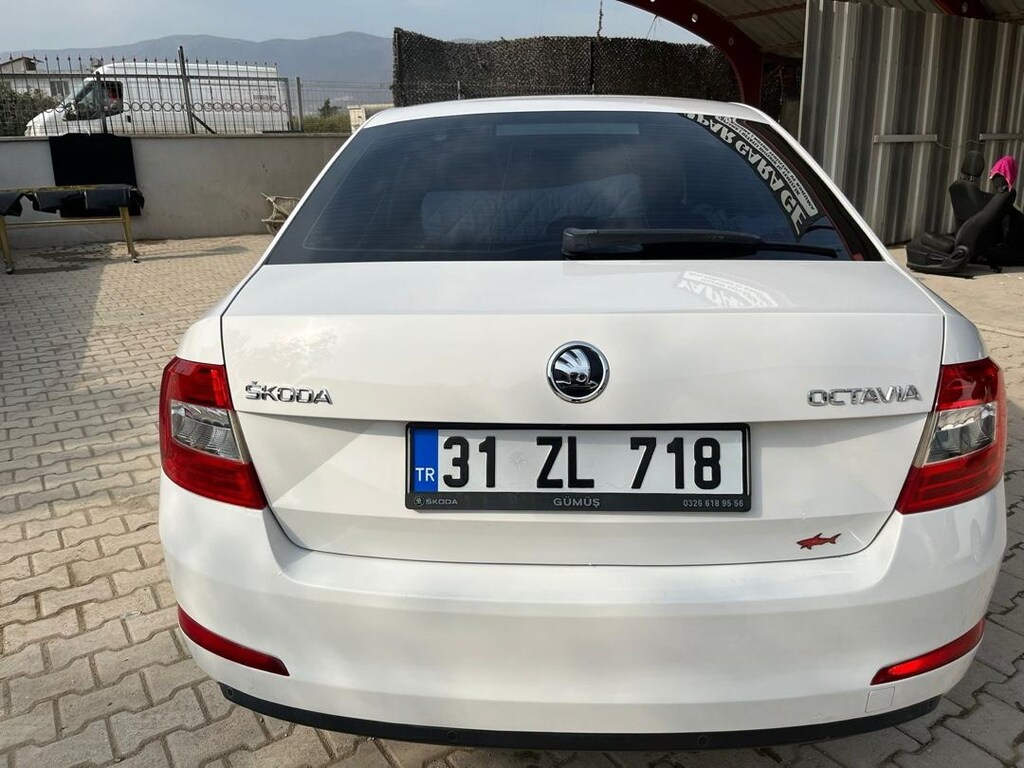 temiz octavia - 7