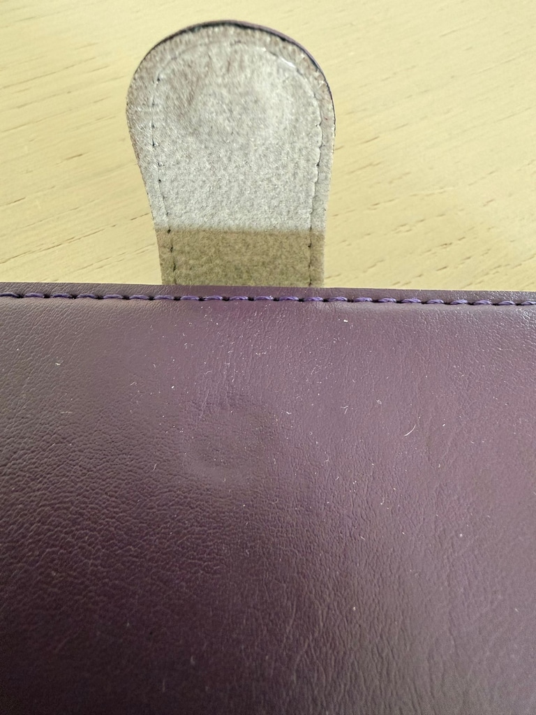 iphone 16 Pro kapaklı kılıf - 4