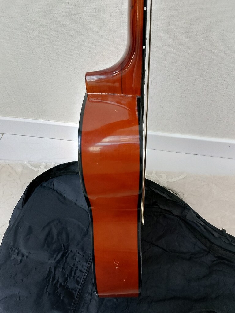 Rayban Manuel marka gitar - 5
