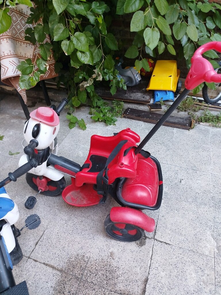 arkadan itmeli bisiklet - 2