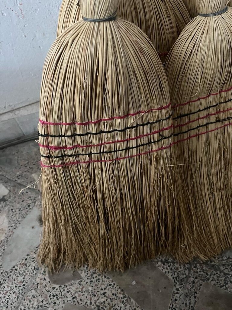 Saplı Çalı Süpürge - 2