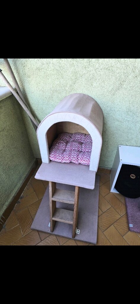 kedi evi - 3