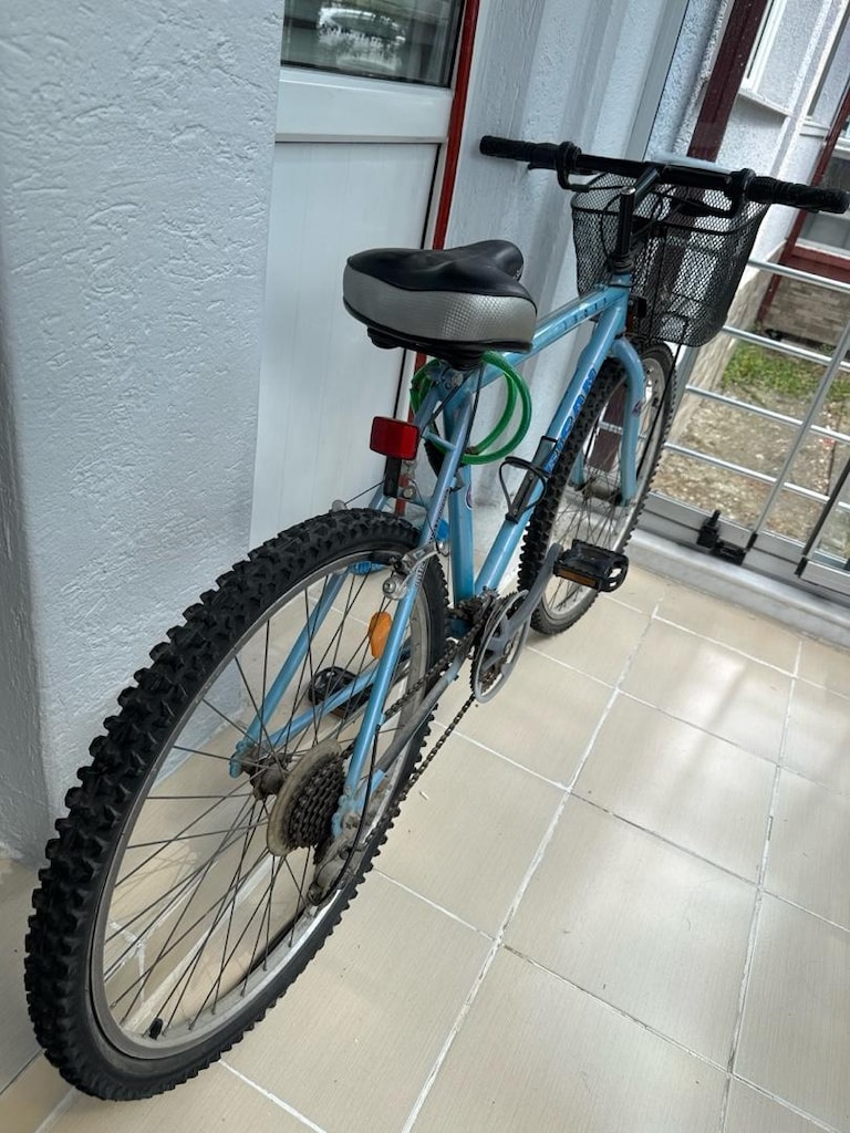 Bisan thorp bisiklet 21 vites - 2