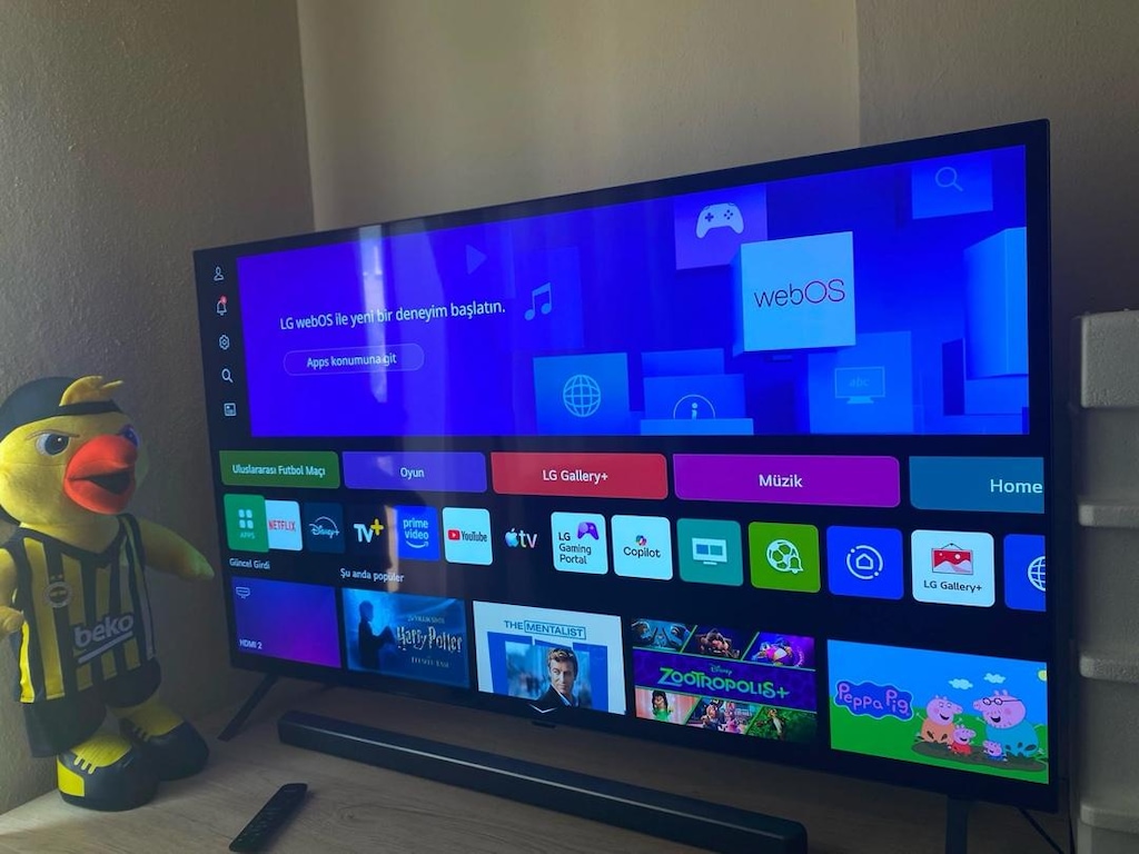 LG OLED 55 Ekran