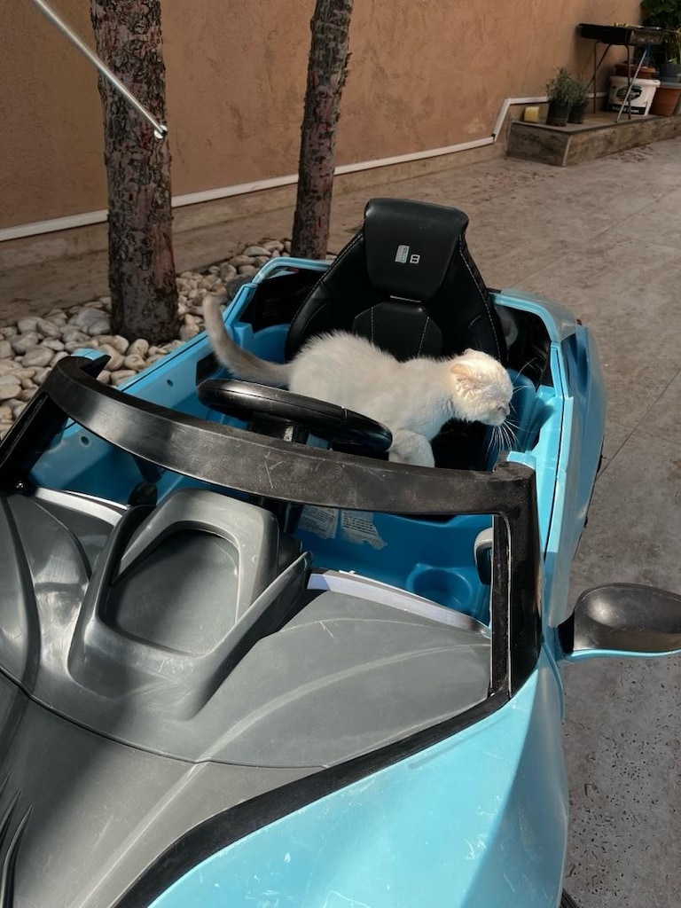 Mavi BMW Akülü Araba - 13