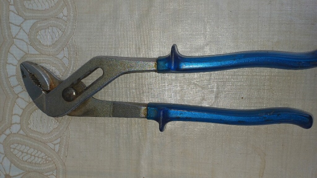 ALMAN PAPAĞAN PENSE - 2