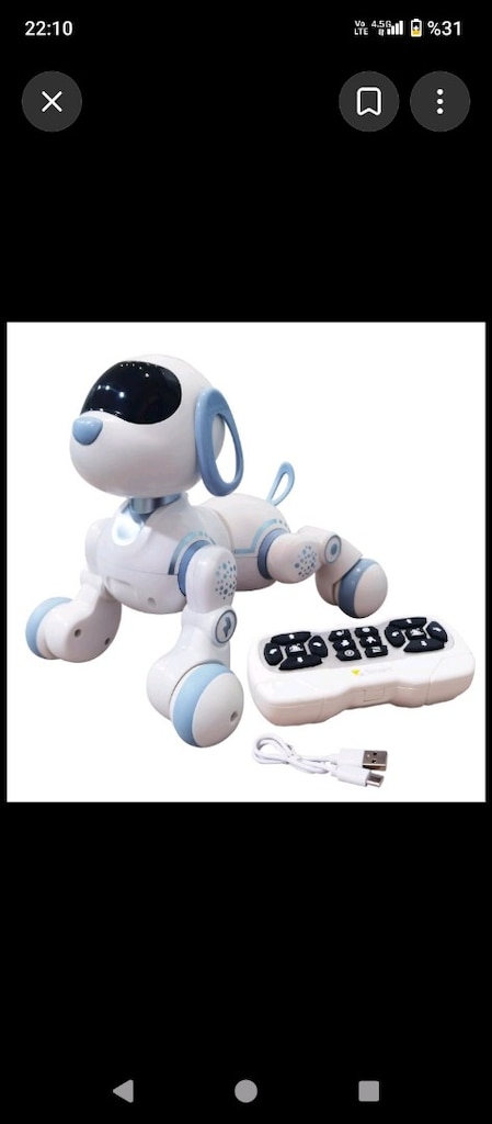 robot köpek - 2