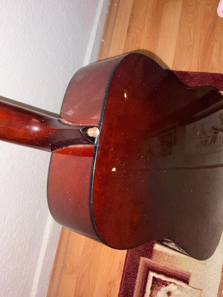 Ibanez Akustik Gitar - 6