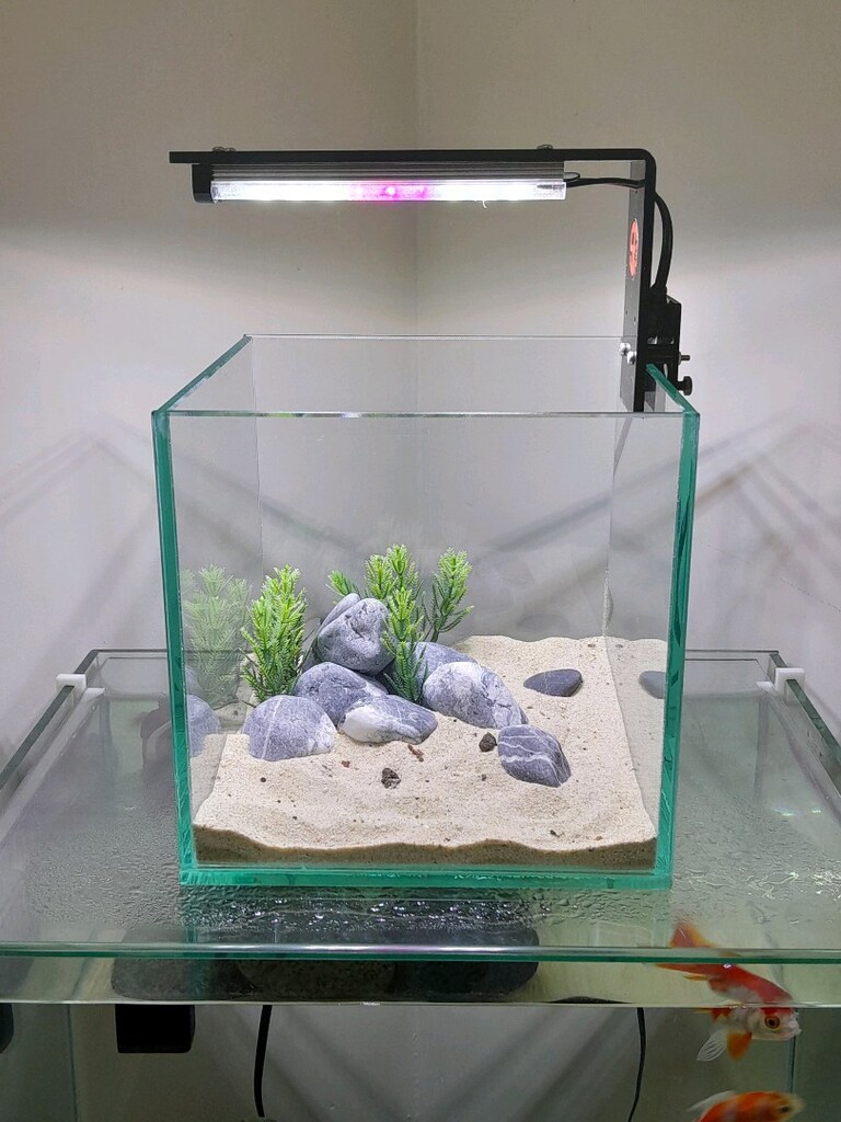 nano akvaryum mini 20x20x20 clear - 4