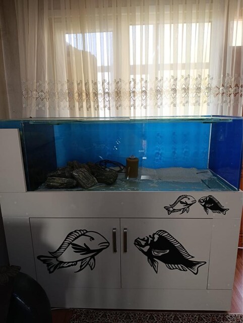 mobilyalı akvaryum