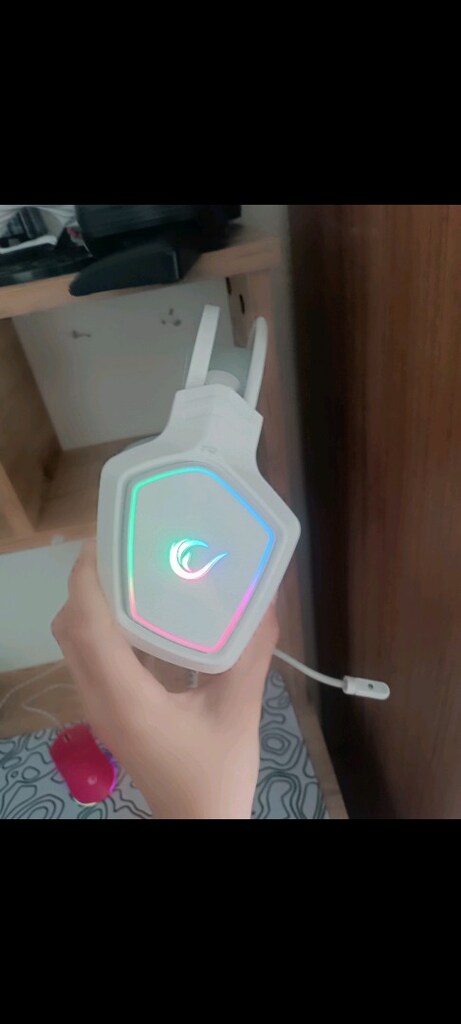 EKİPMANLİ LAPTOP GAMİNG ALANA EKİPMANLARLA VERİLCEK HEPSİ RAMPAGE - 7