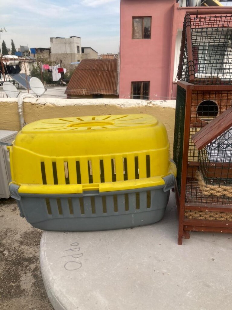 Hayvan taşıma çantası - 2