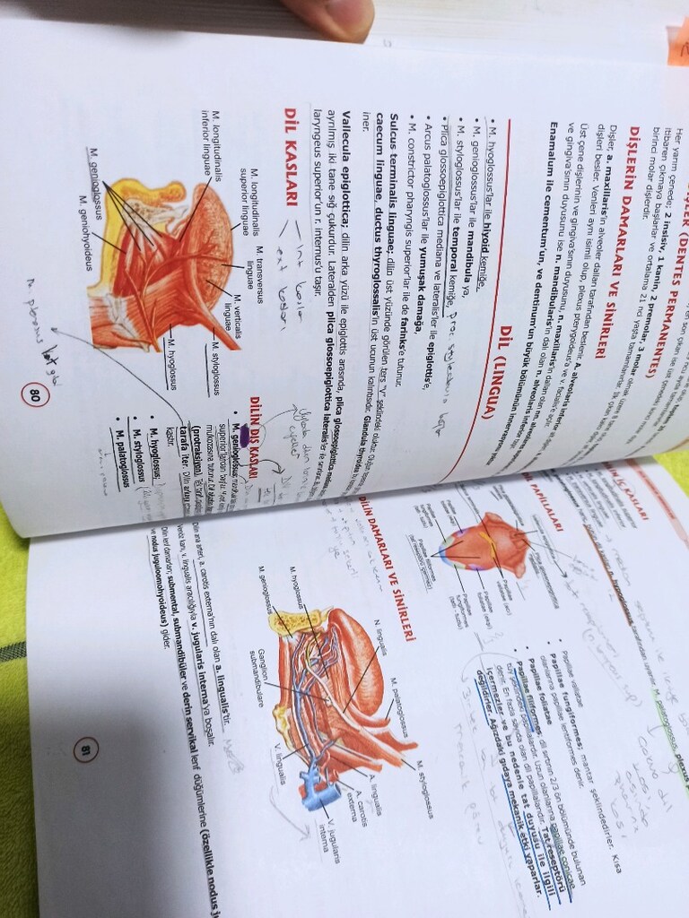 diş kitaplari - 8