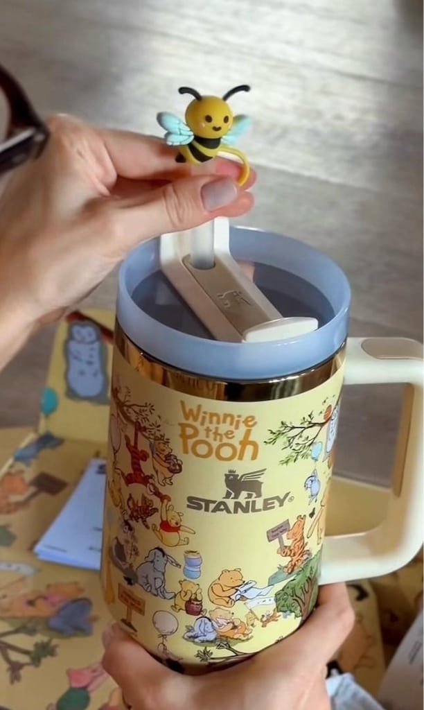 WİNNİE THE POOH STANLEY TERMOS - 2
