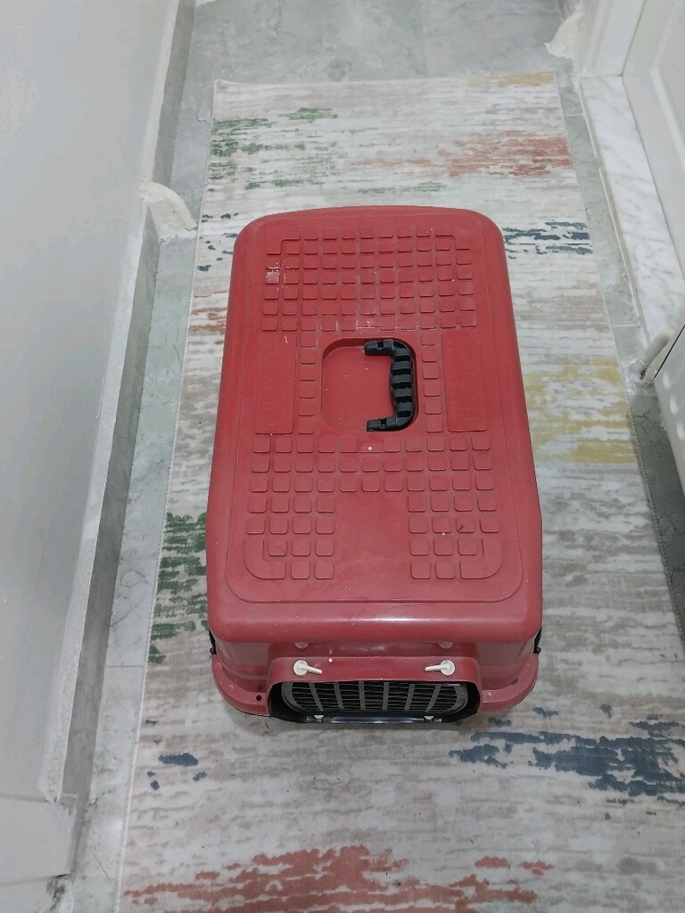 Kedi köpek taşıma çantası