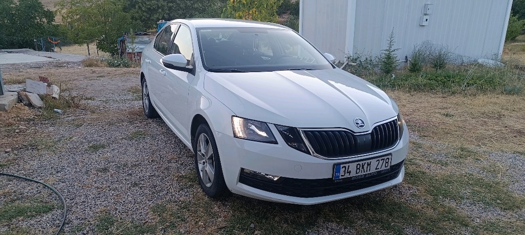 Sahibinden Temiz Octavia - 2