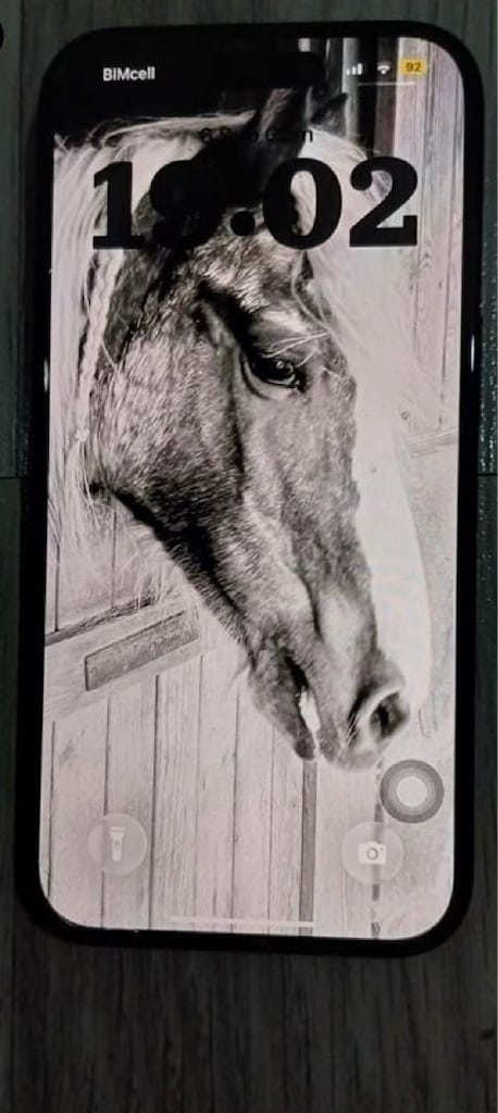 iPhone 16 - 4