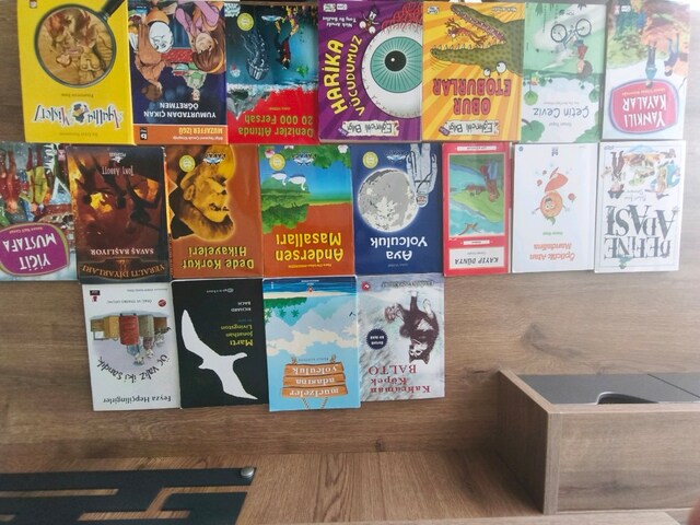 Hikaye roman bilgi kitap seti