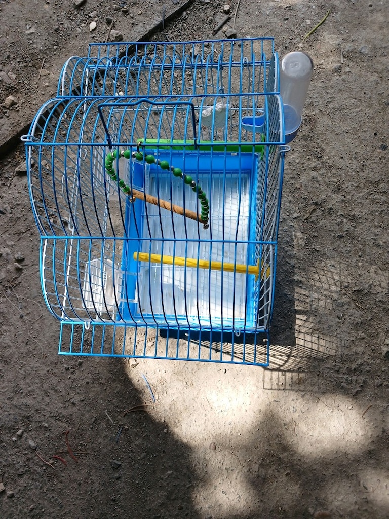 kuş kafesi bütün iç malzemeleri vardır . - 2